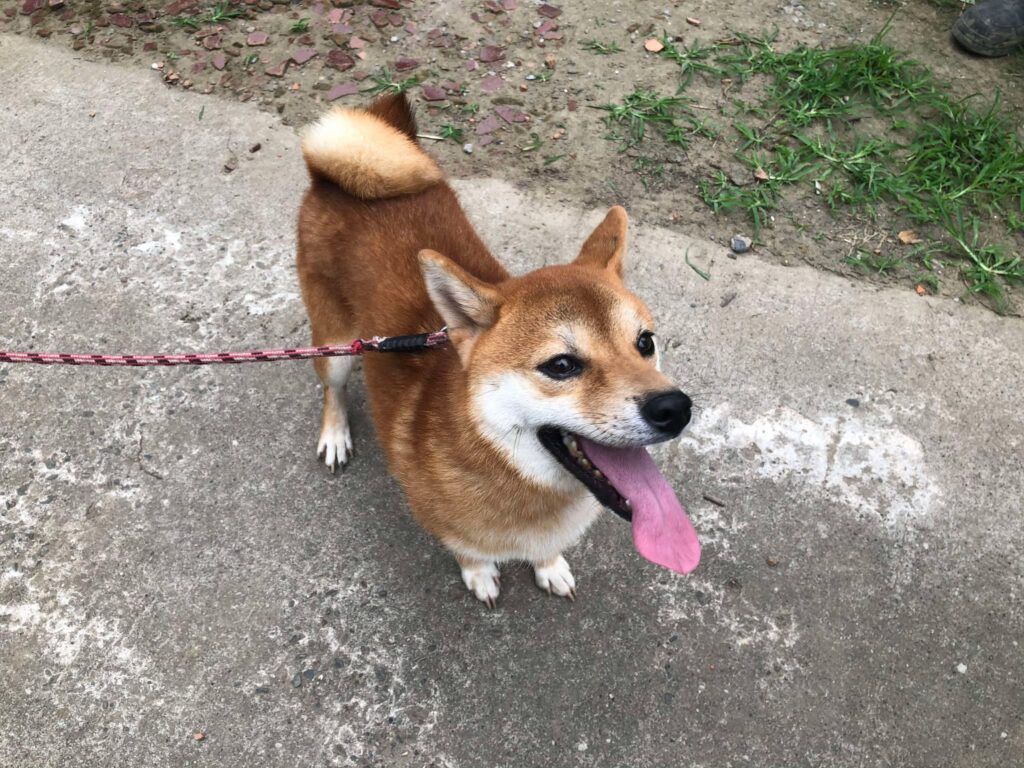 はじめまして